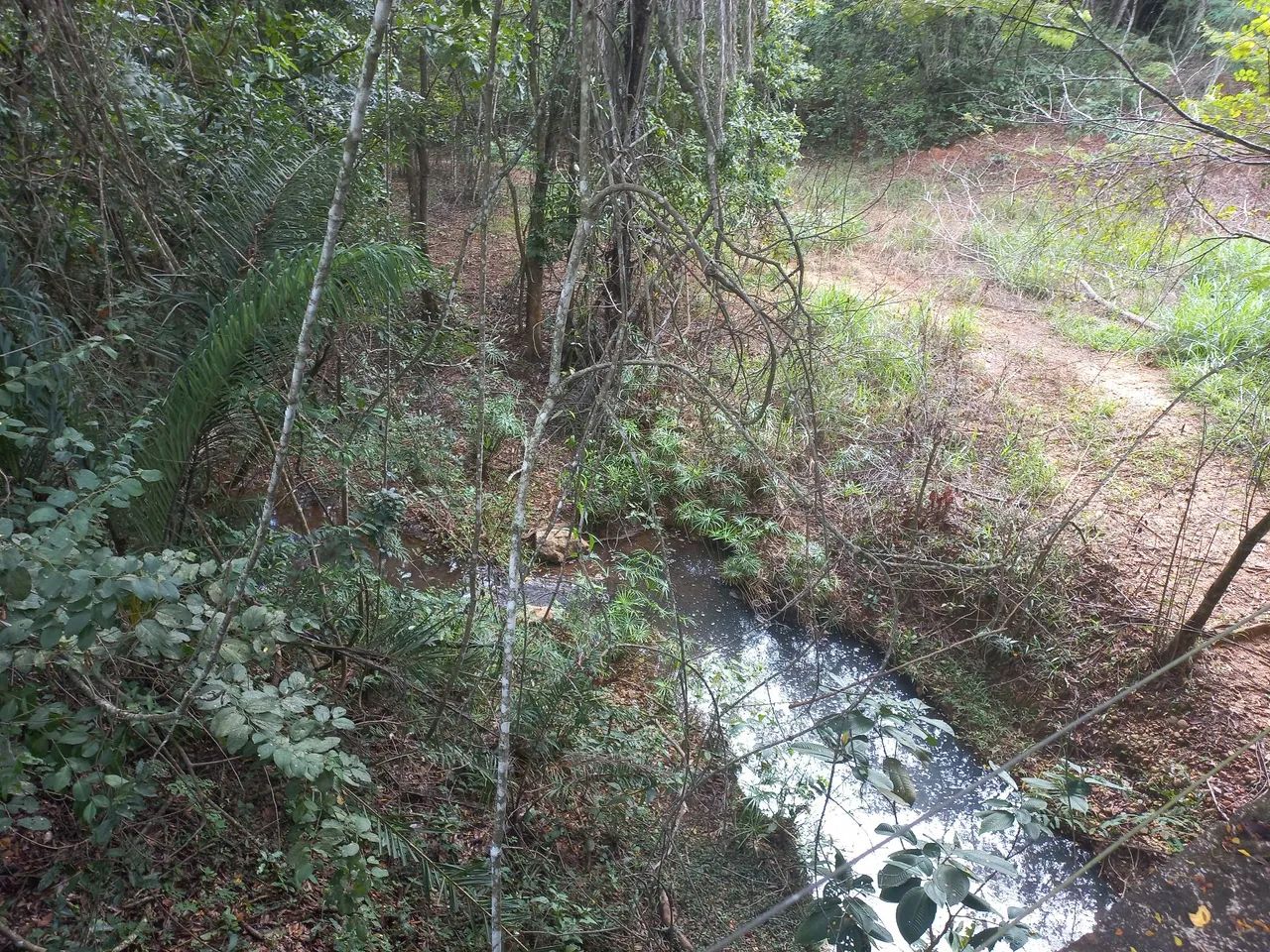 Terreno 40 hectares em Funilândia MG  - Foto 2