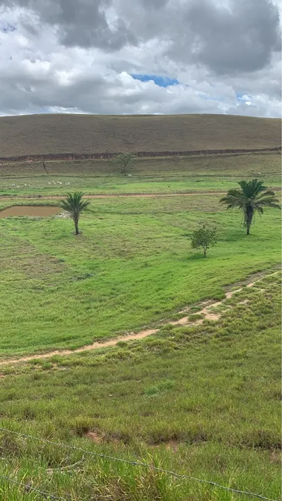Oportunidade!! Em novo Lino fazenda com 160 hectares