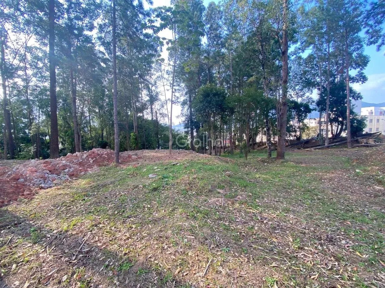 Terreno para Venda em Florianópolis, Pantanal - Foto 2