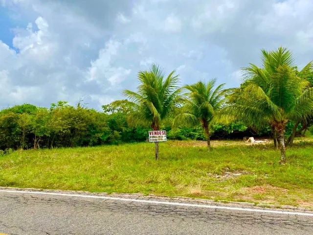 VENDO TERRENO NA PRAIA DE TABATINGA - 450M²