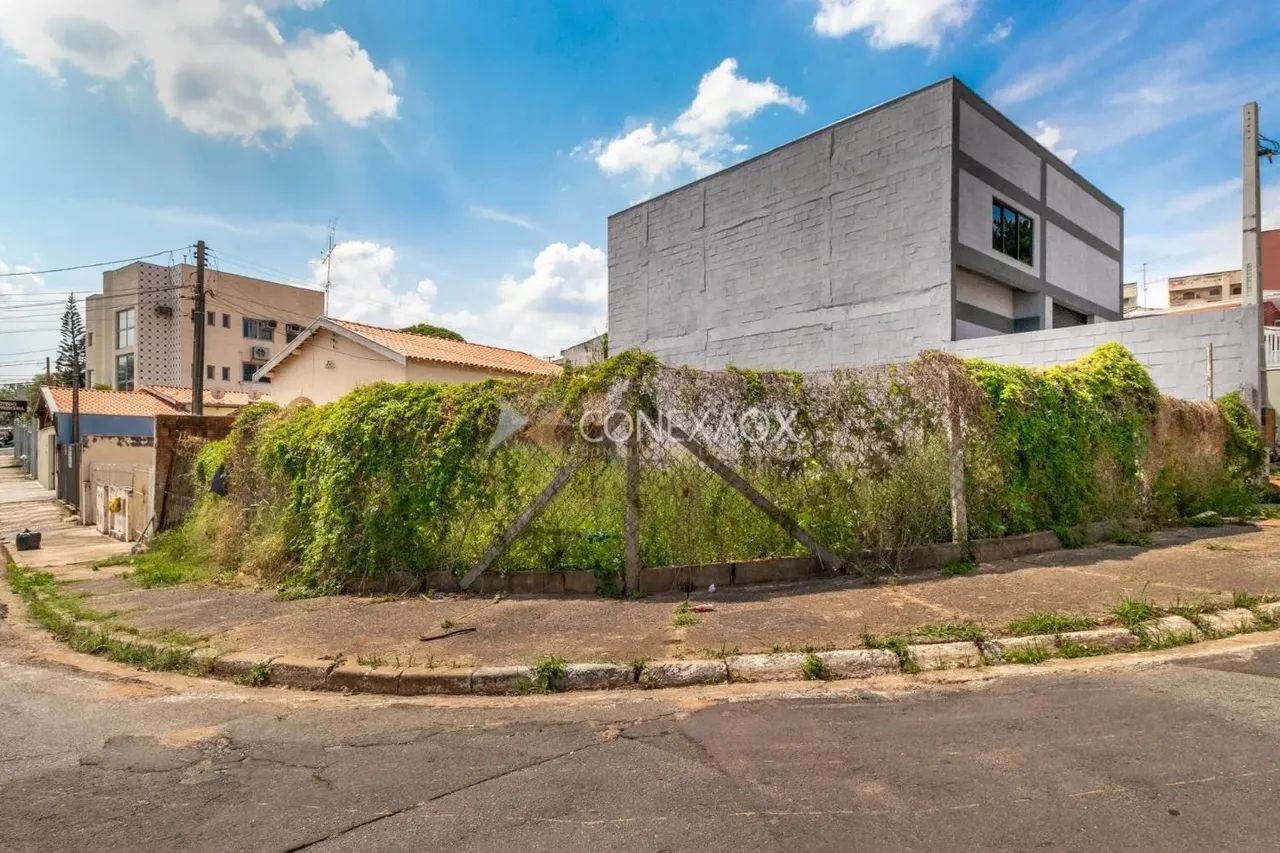 terreno - Vila Marieta - Campinas