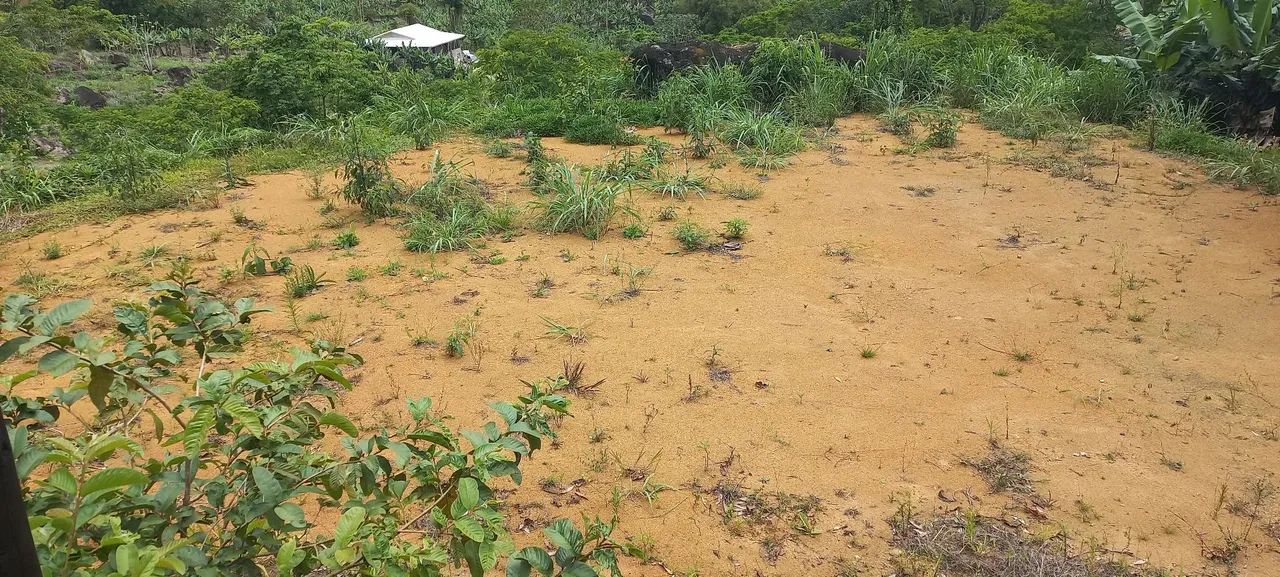  Chacara SEM CASA  10mil mts Pedro de atoledo SP - Foto 4