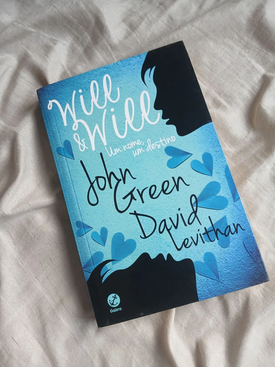 Livro Will & Will - John Green e David Levithan
