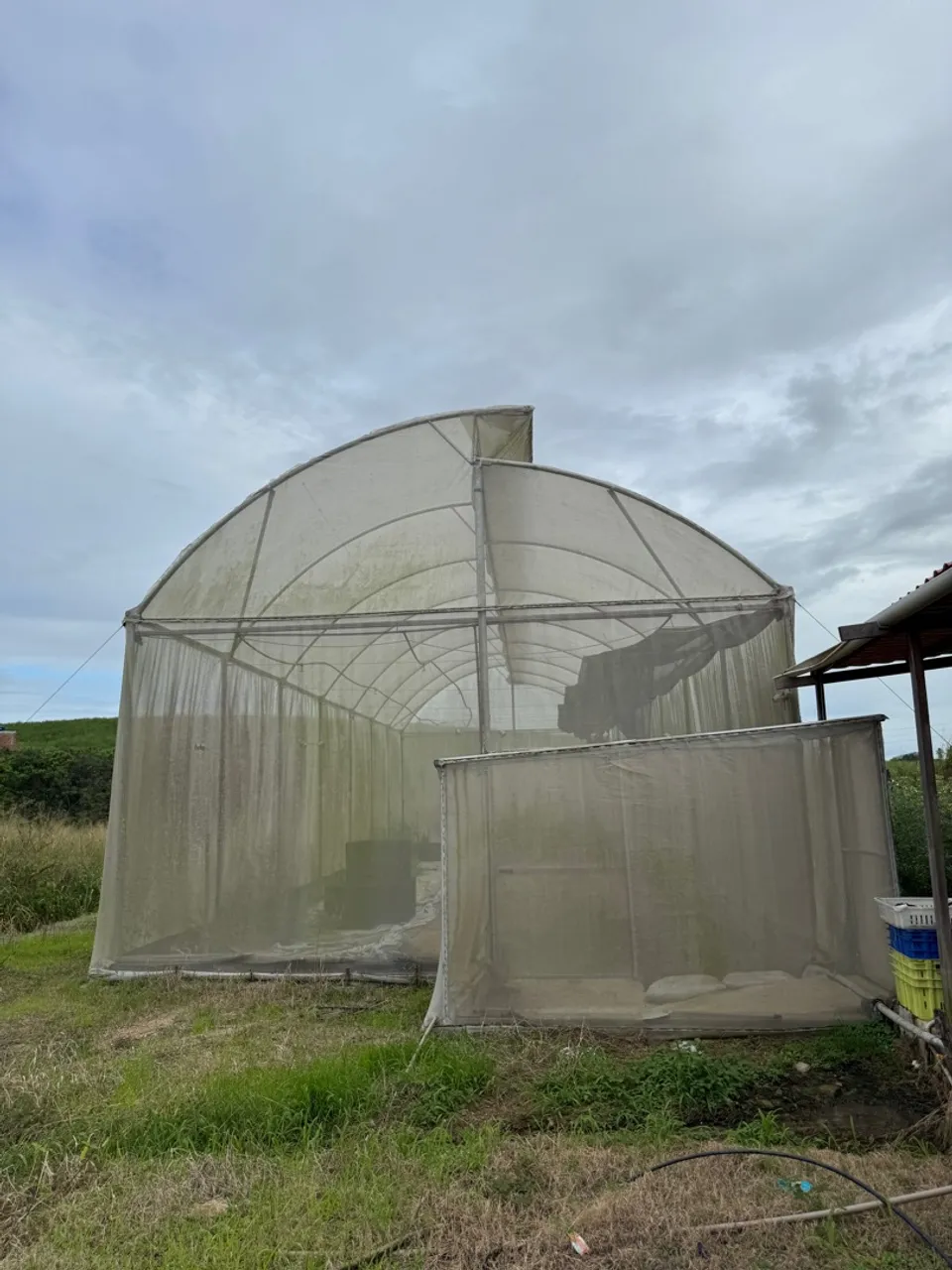 Estufa Agrícola Semi Nova