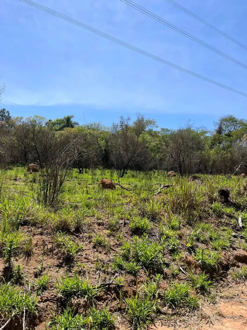 LANÇAMENTO IMPERDÍVEL EM ATIBAIA  TERRENOS DE 600M²! - Foto 12