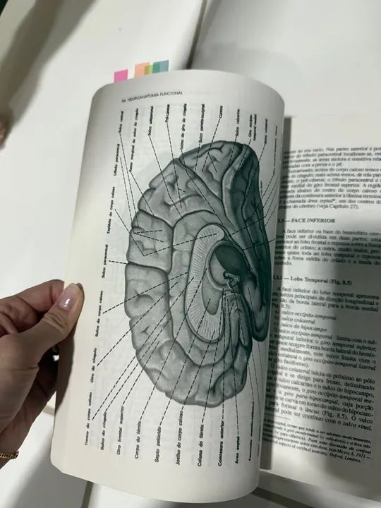 Neuroanatomia Funcional 2ª Edição - Angelo Machado - Foto 5