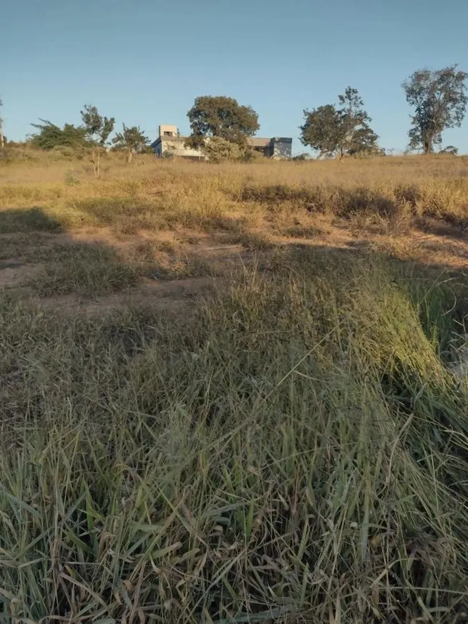 Lote em Condomínio Fechado para Venda em Lagoa Santa, Vila Arcádia