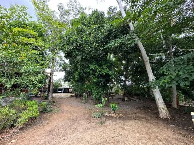 Terreno com 4.311,04 m² - Nova Esperança - Foto 5