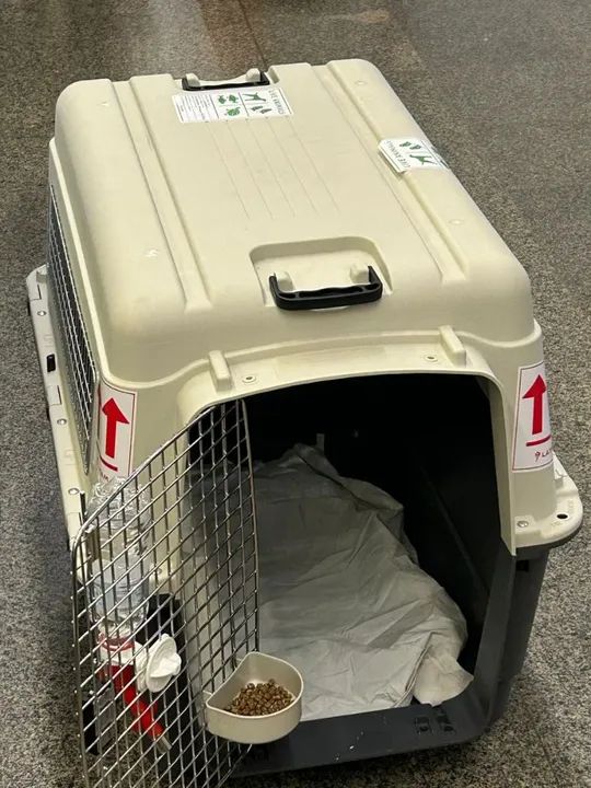 Caixa de Transporte para Cães Gomoov Cobasi - Foto 3