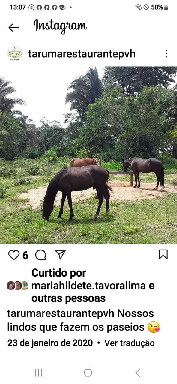 Caseiro com experiência 