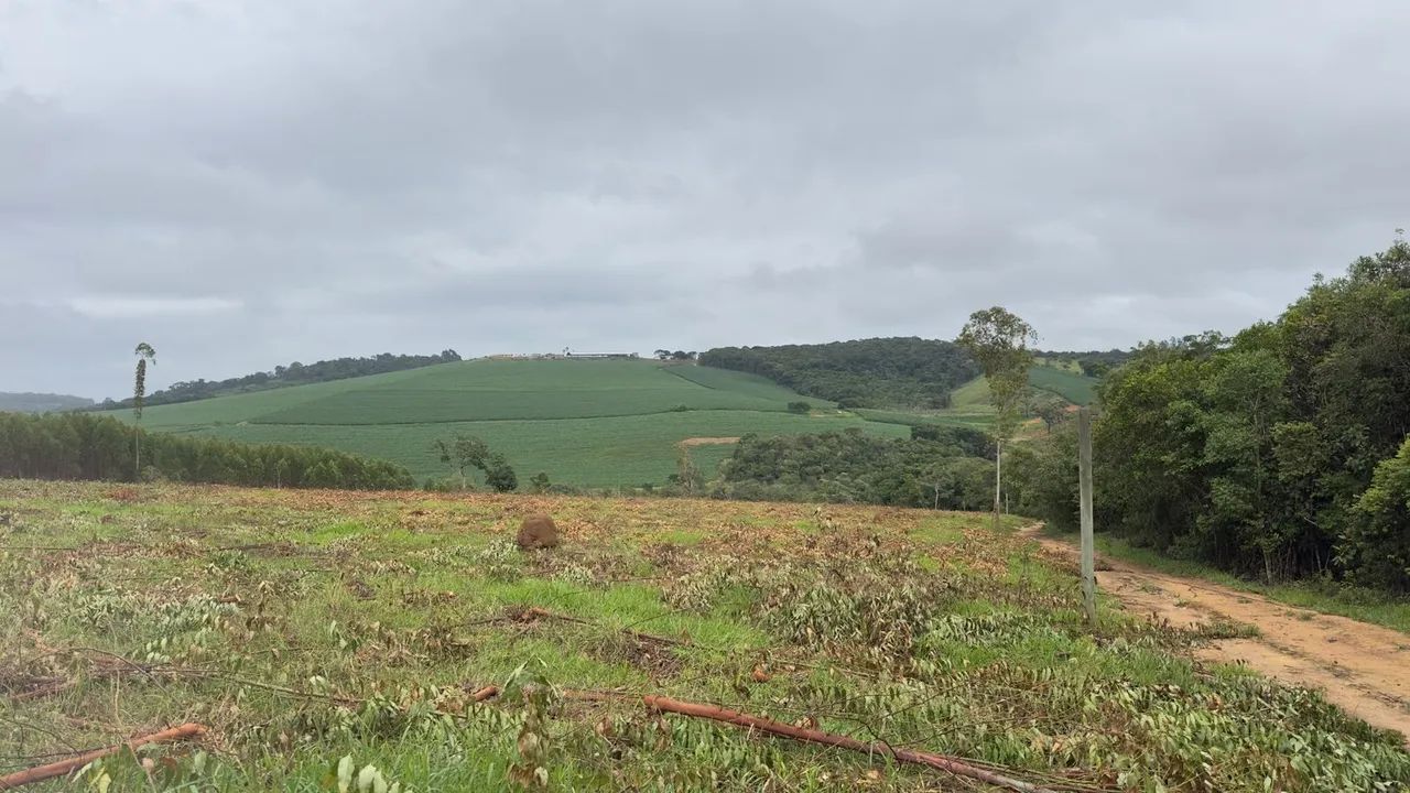 Fazendinhas 20.000m² em Itaguara 
