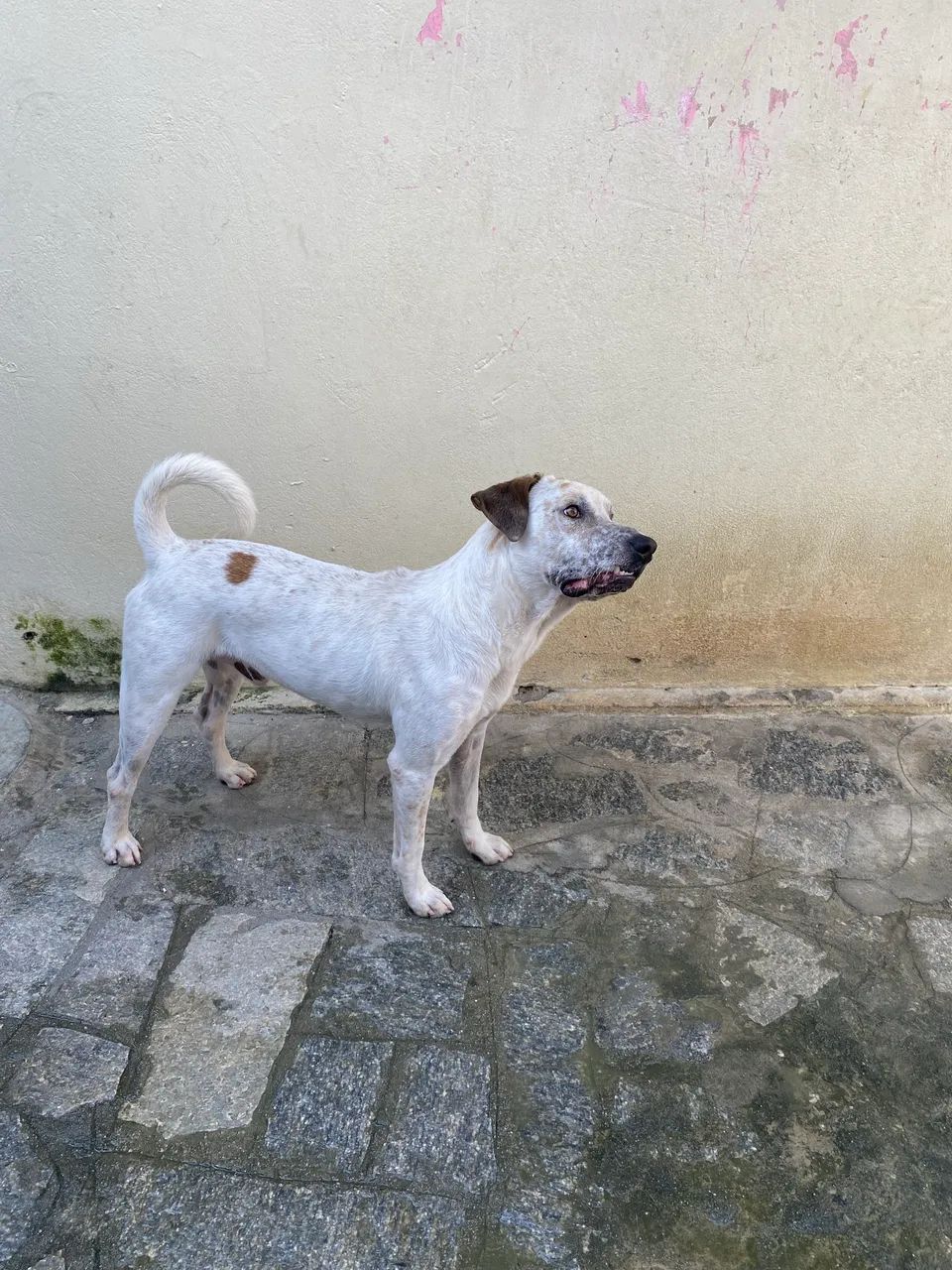 Doação  - Foto 4