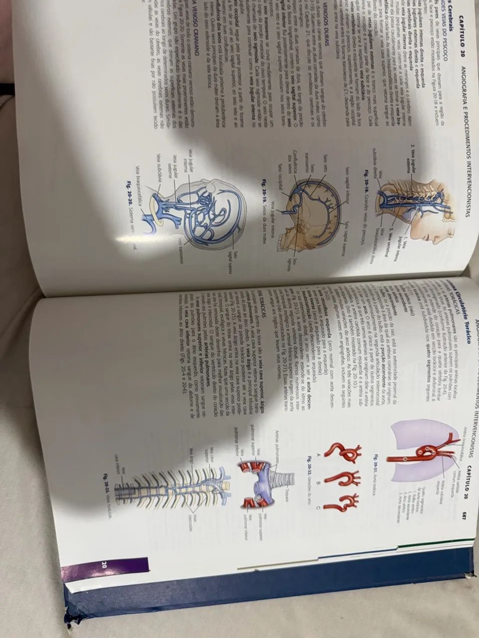 Livro de anatomia e radiologia  - Foto 3