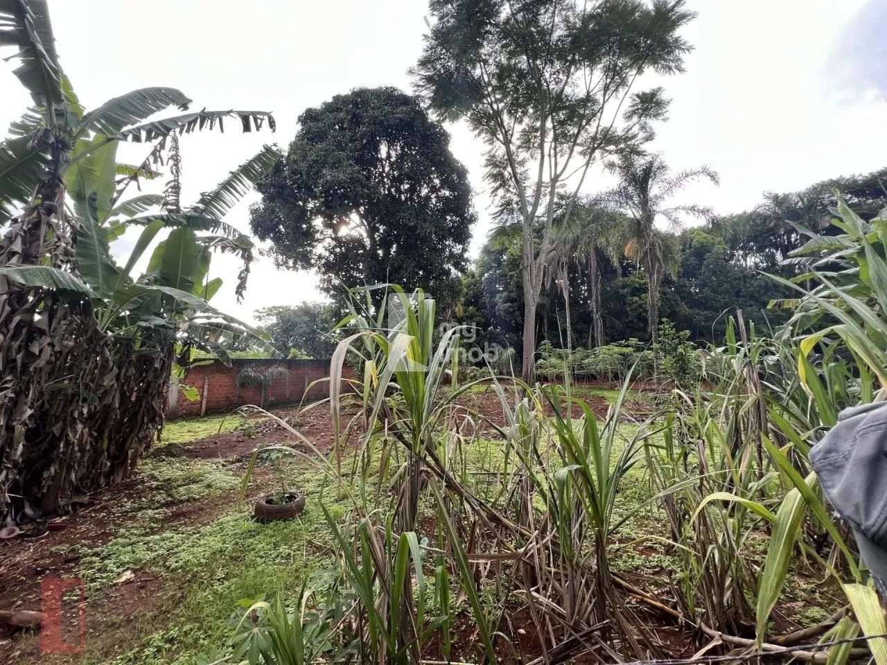 Chácara disponível para venda, Anápolis-GO - Foto 2