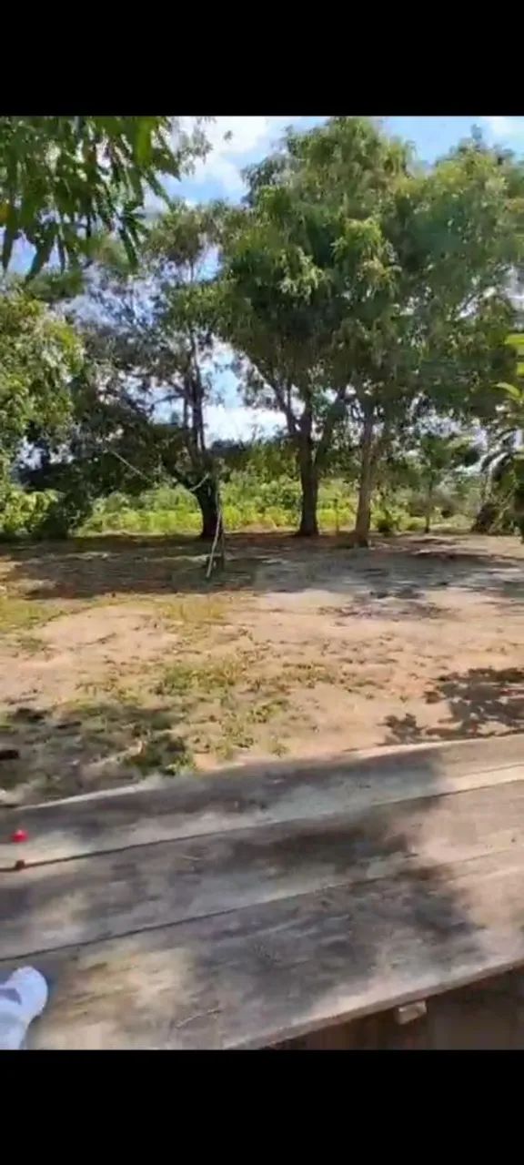 Foto - Santarém - Alvorada