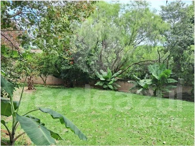chácara - Jardim Itaguaçu I - Campinas - Foto 5