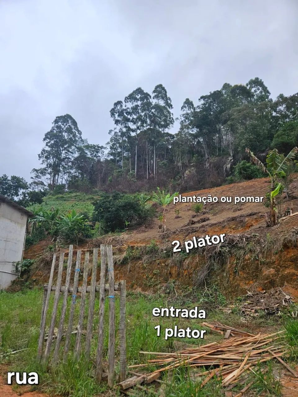 Foto - Santa Teresa - 