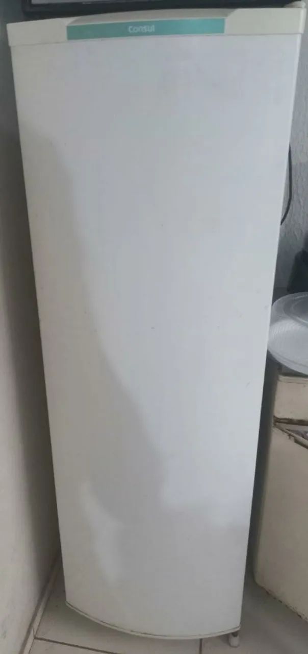 Geladeira 220v