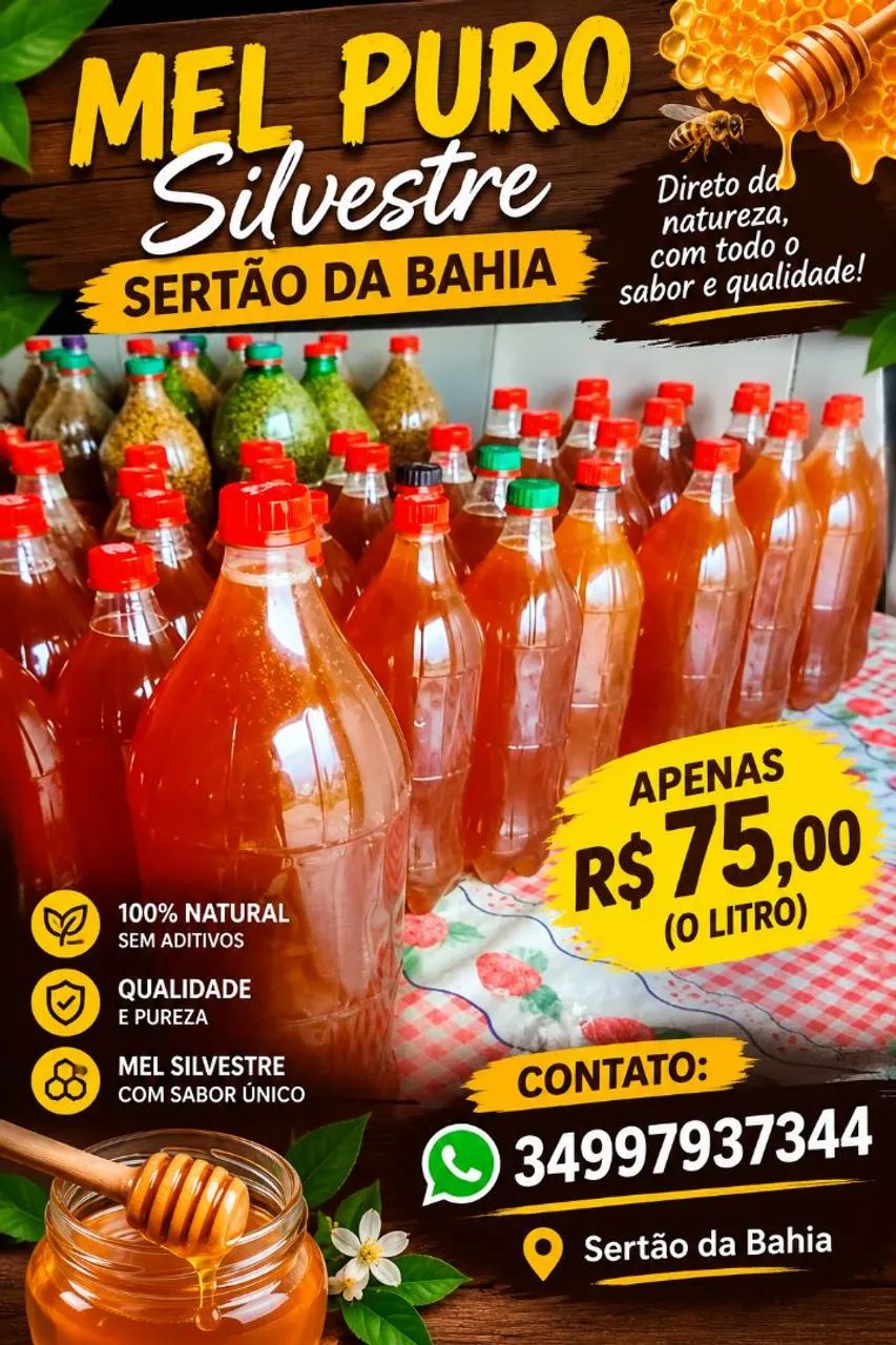 Mel da Bahia  - Foto 2