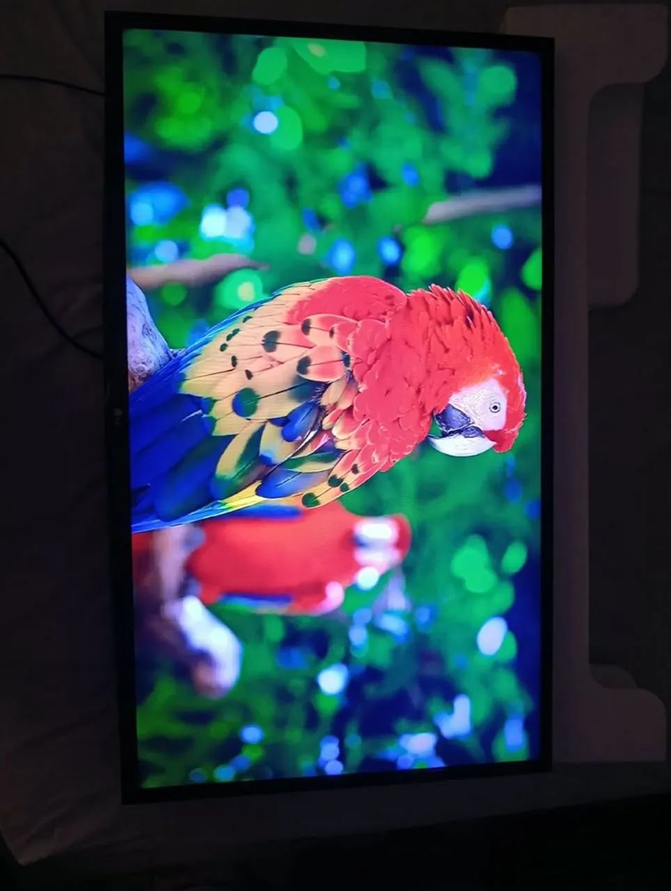 Smart tv 43 polegadas 