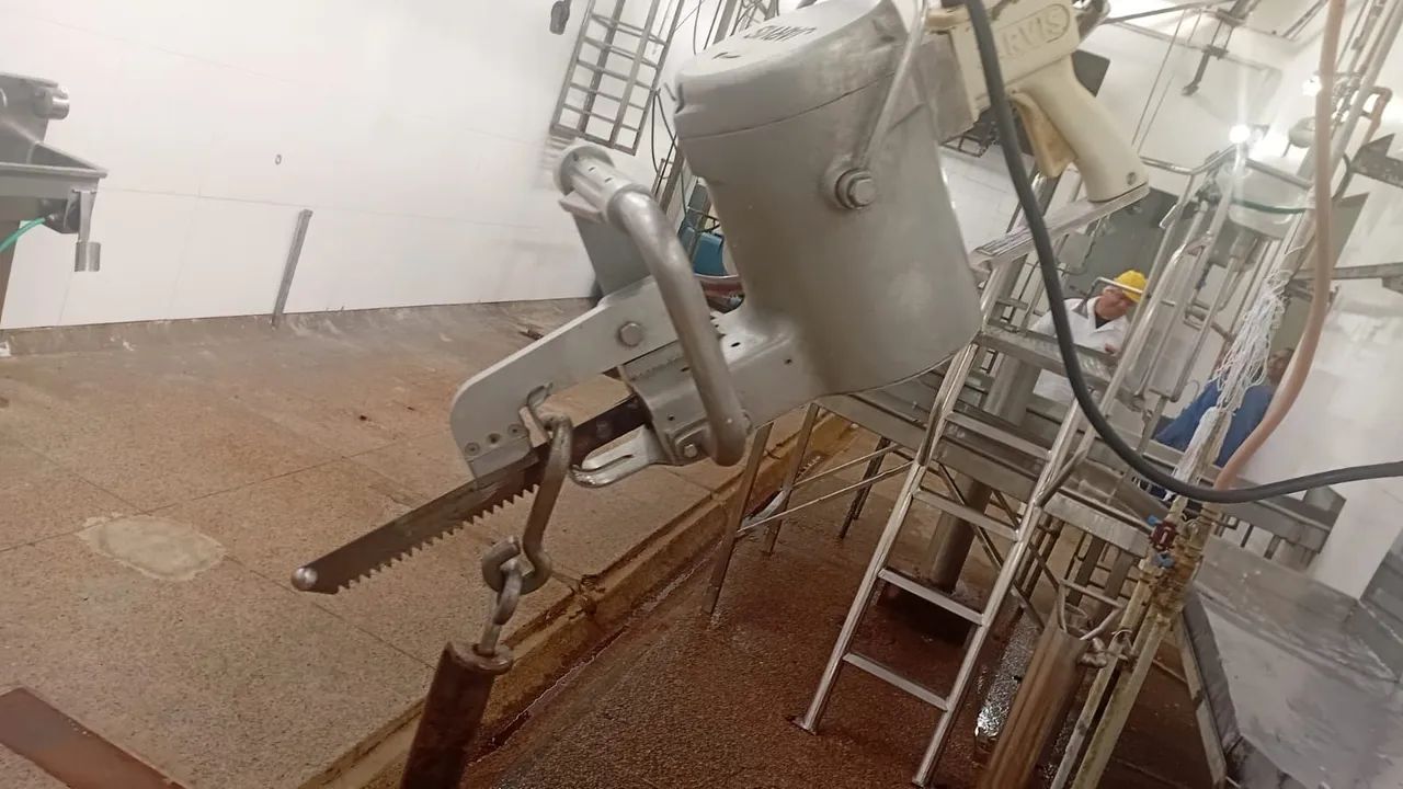 Frigorifico de bovinos - Foto 5