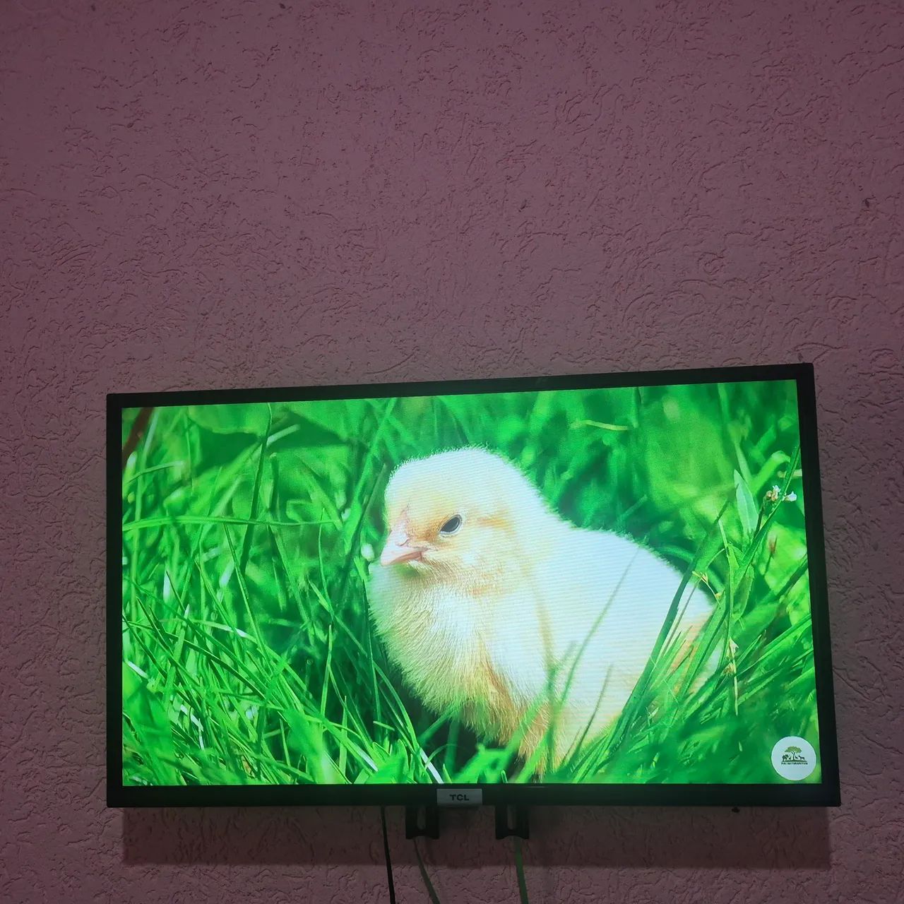 Tv  TCL 32 smart  wi fi - Foto 2