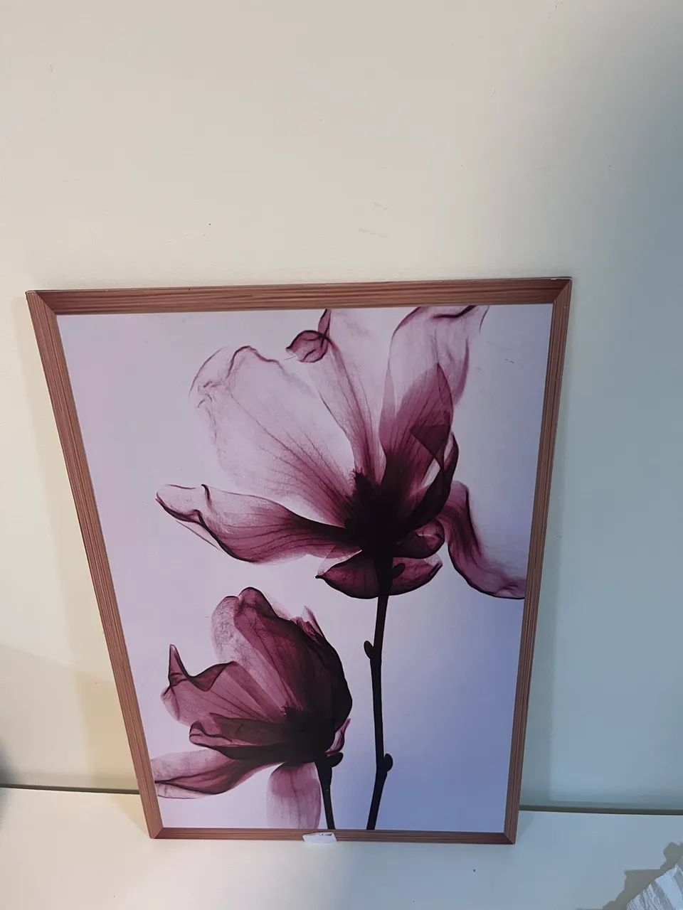 Quadros decorativos 