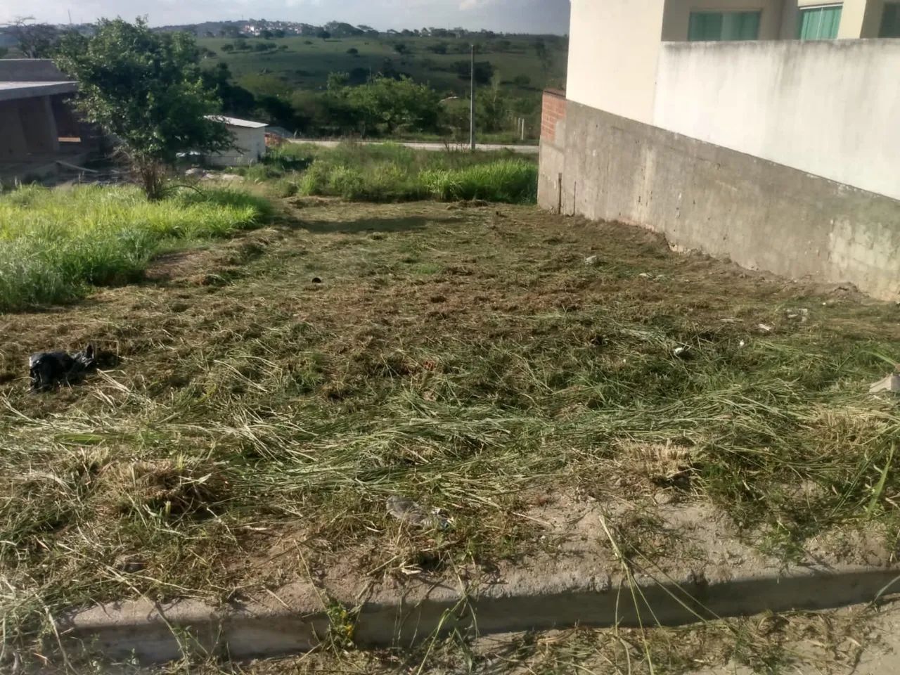 Terreno - Cristo Rei - Foto 4