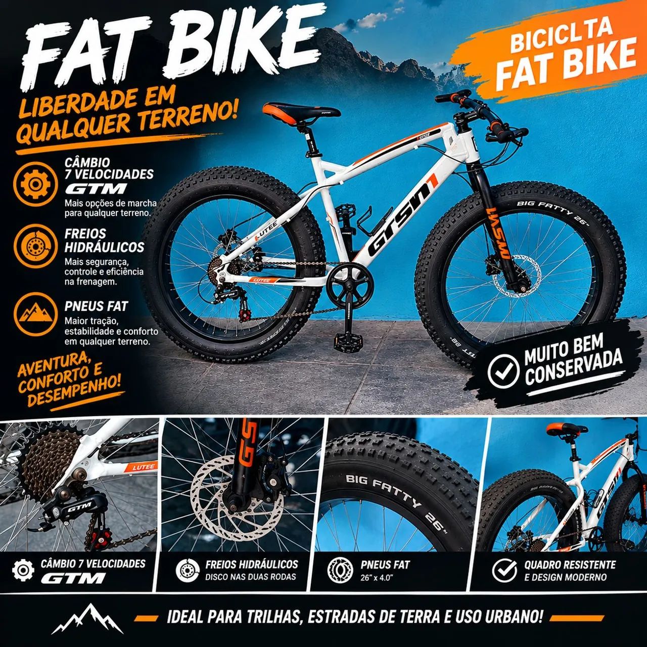 Fat Bike