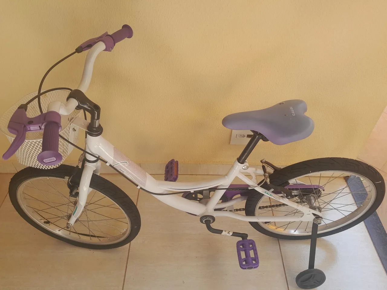 Bicicleta ceci