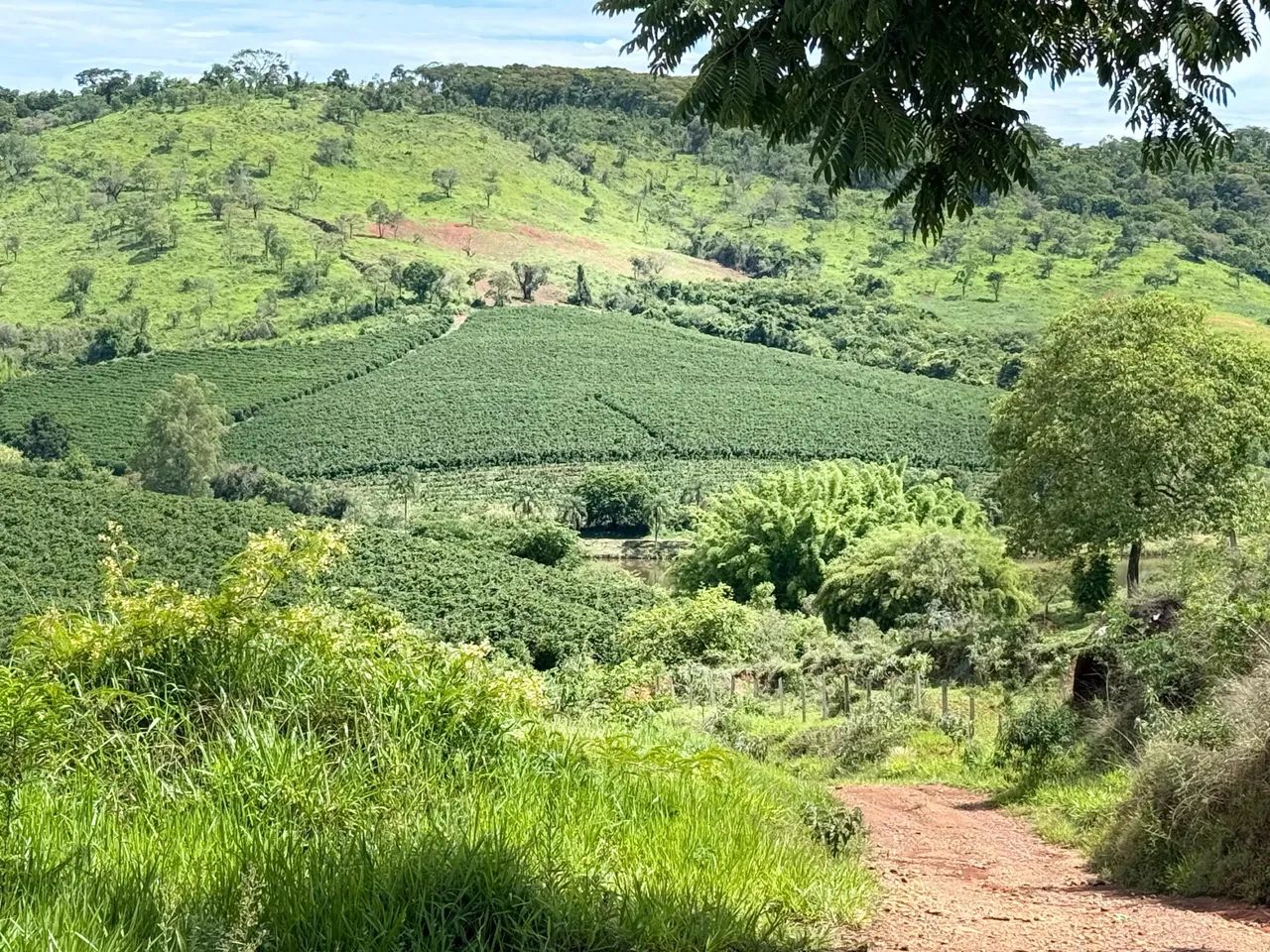Fazenda café Sul de minas  - Foto 2
