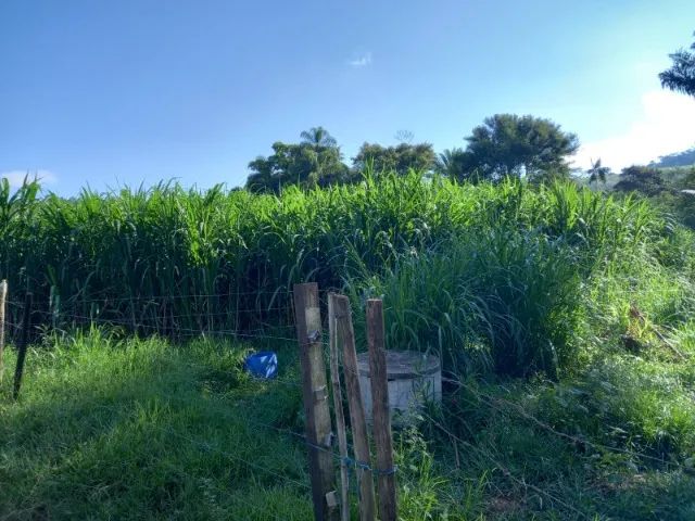 Sítio Torreões/Lagoa - Foto 2