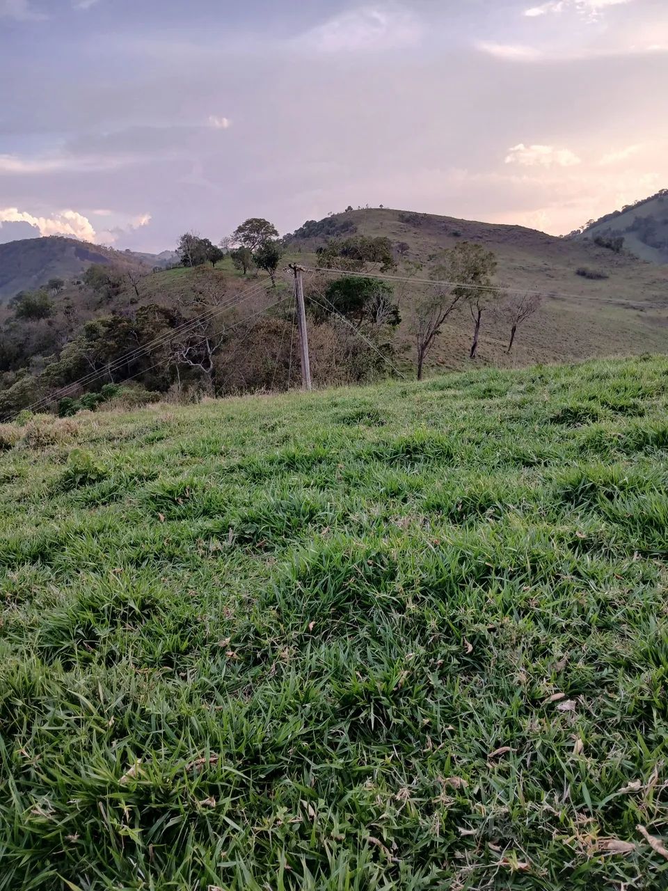 Vendo terreno  - Foto 5