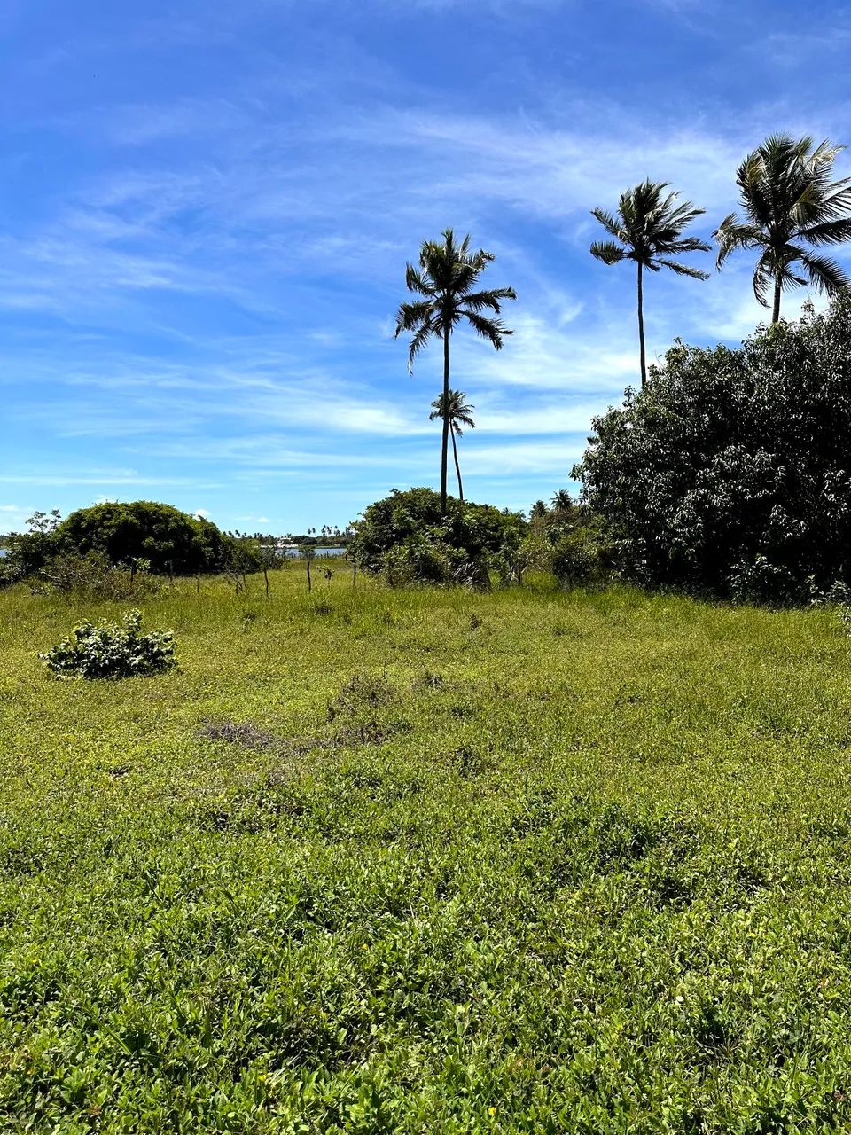 VENDO TERRENO BEIRA DE LAGOA EM BEBERIBE ! - Foto 3