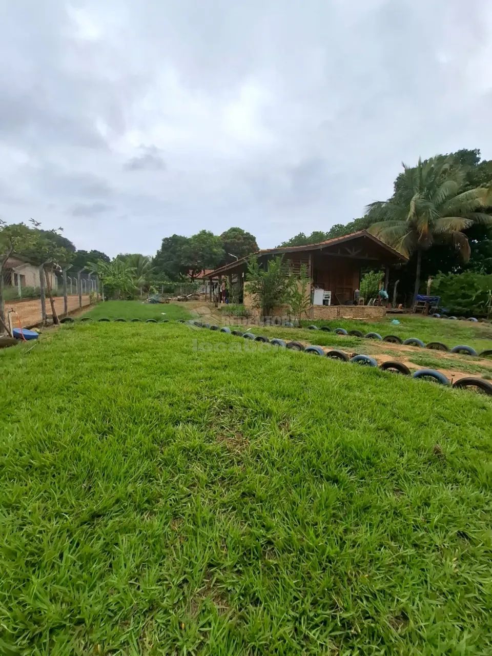 Venda - Chácara em Adolfo