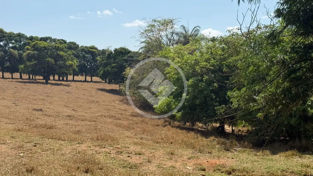 Terreno de 20.000m2 com água codigo: 150900 - Foto 3