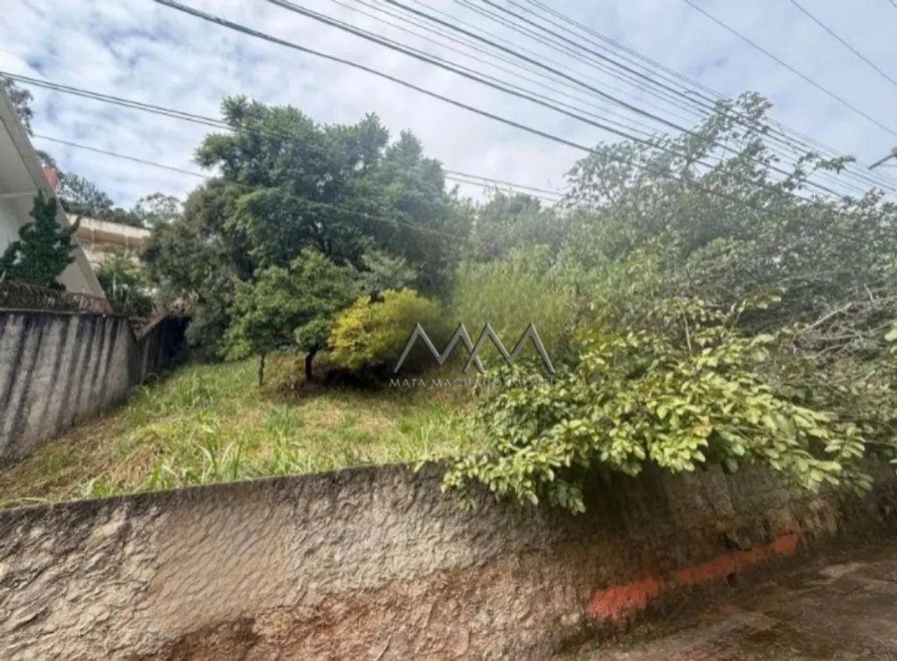 Lote à Venda no Mangabeiras | 795 m² - Foto 4