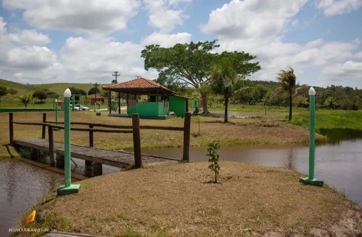 Oportunidade Única  - Foto 4