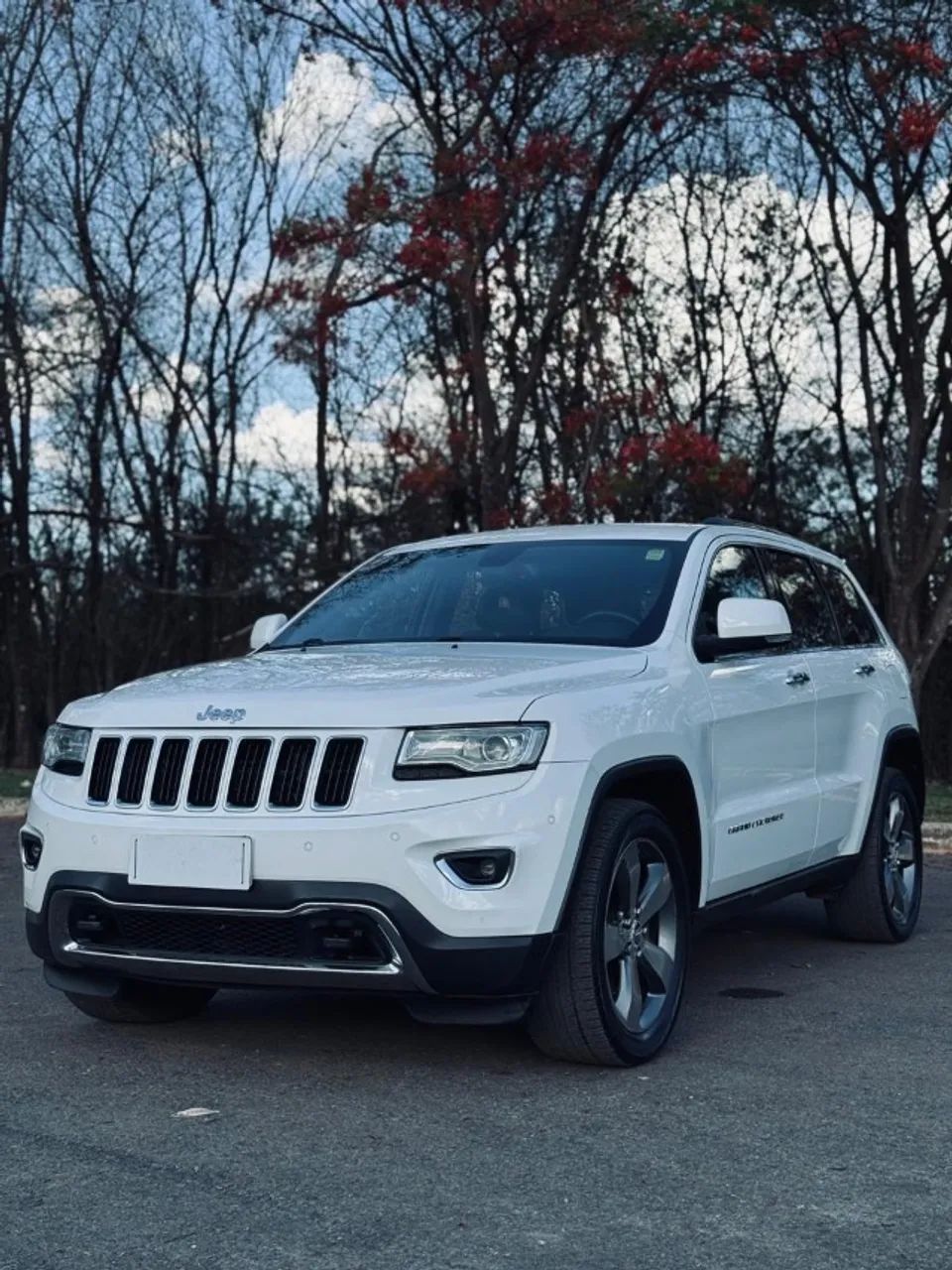Jeep Grand Cherokee Grand Cherokee Limited 3.0 TB Dies. Aut 2015