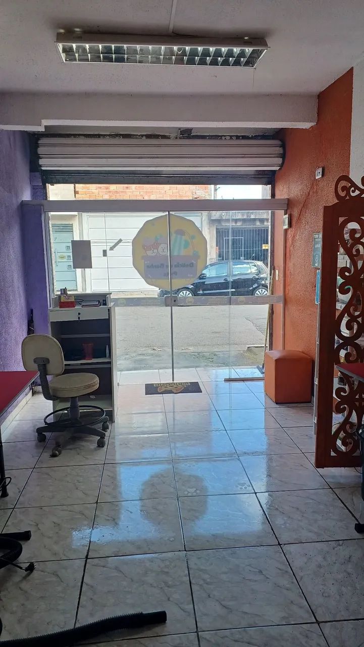 Vendo um Banho e Tosa