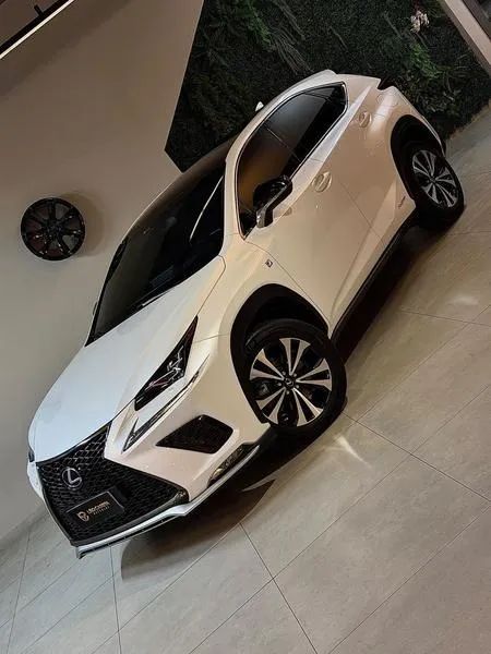 Lexus NX-300 H F-sport 2.5 16V Aut., foto 4 de 19