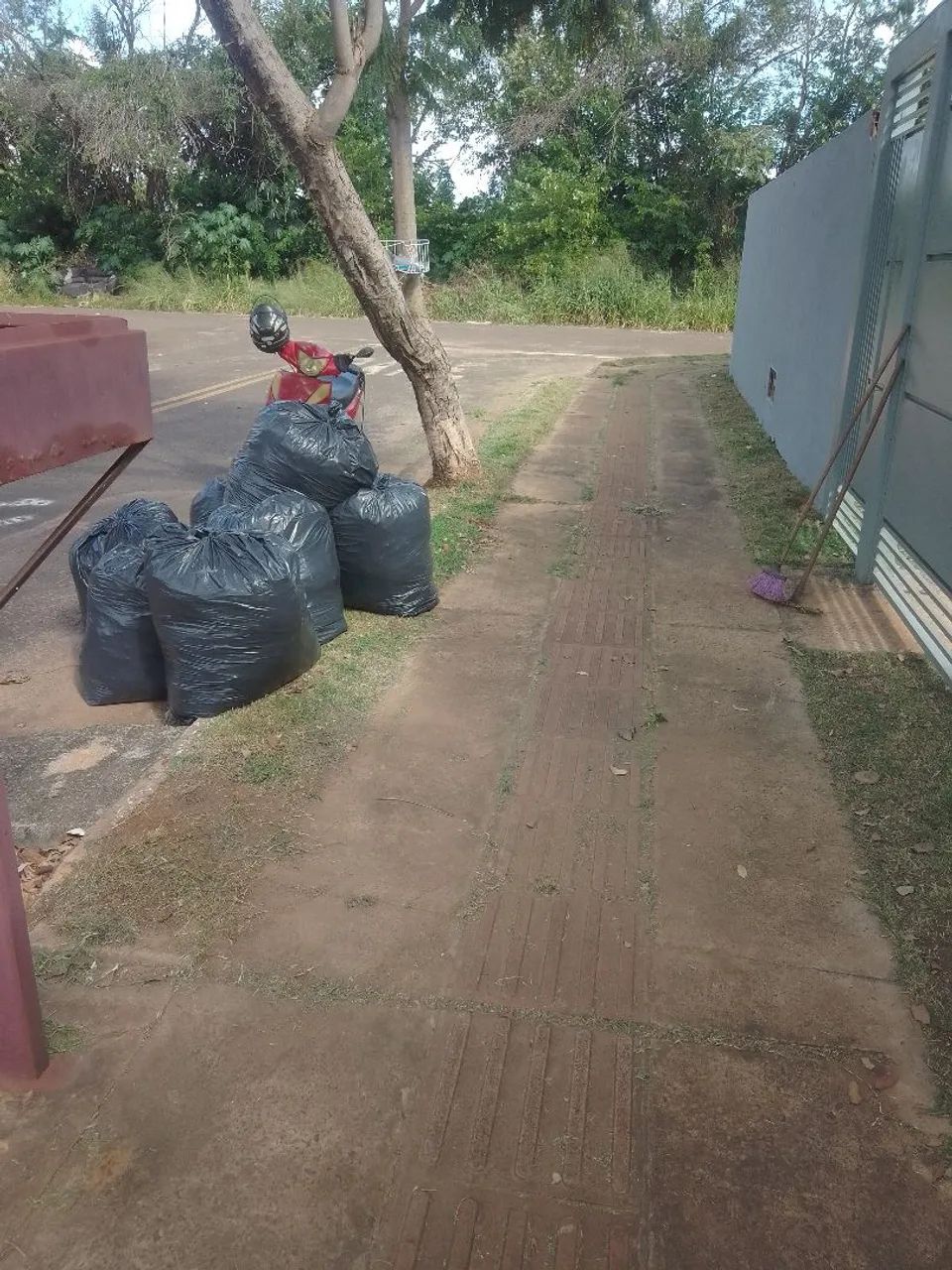 JARDINEIRO  - Foto 4