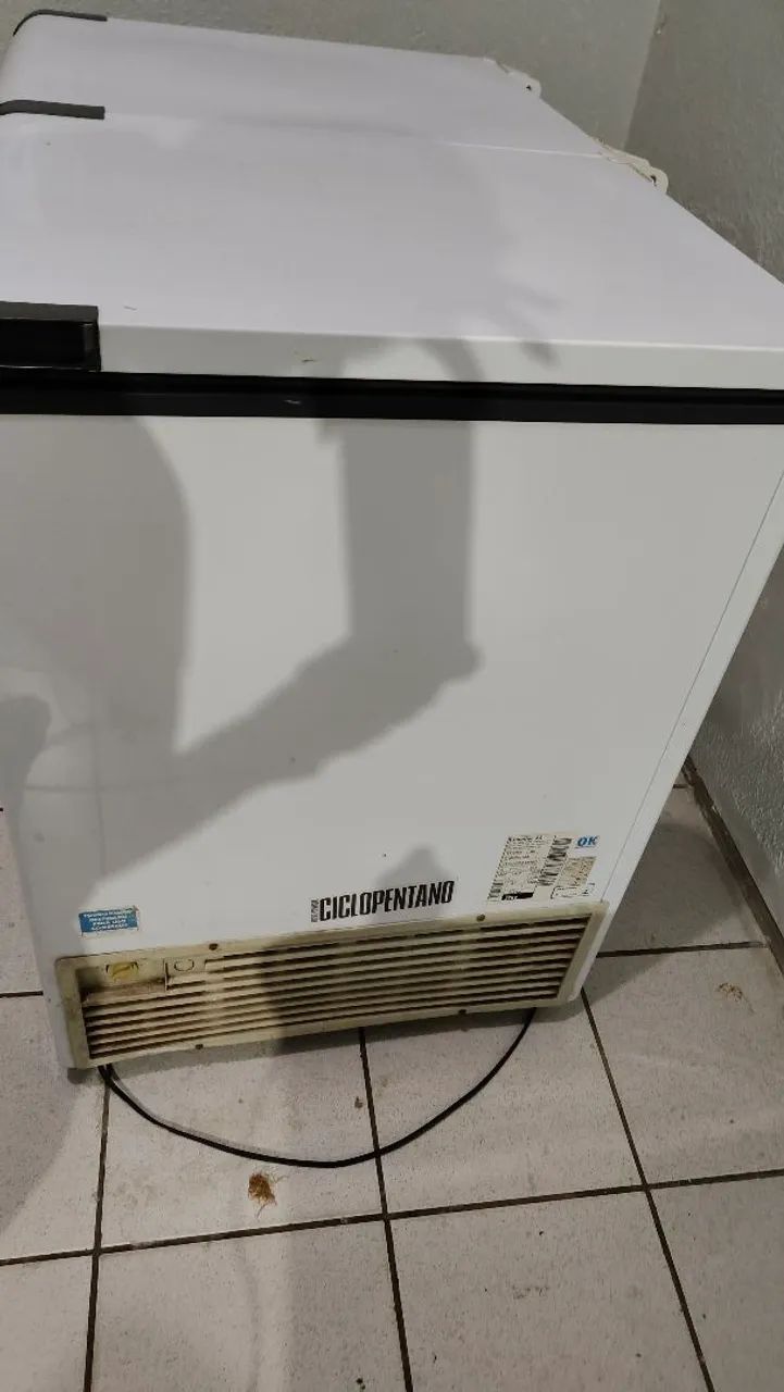 Freezer Esmaltec  Horizontal 303 L - Foto 4