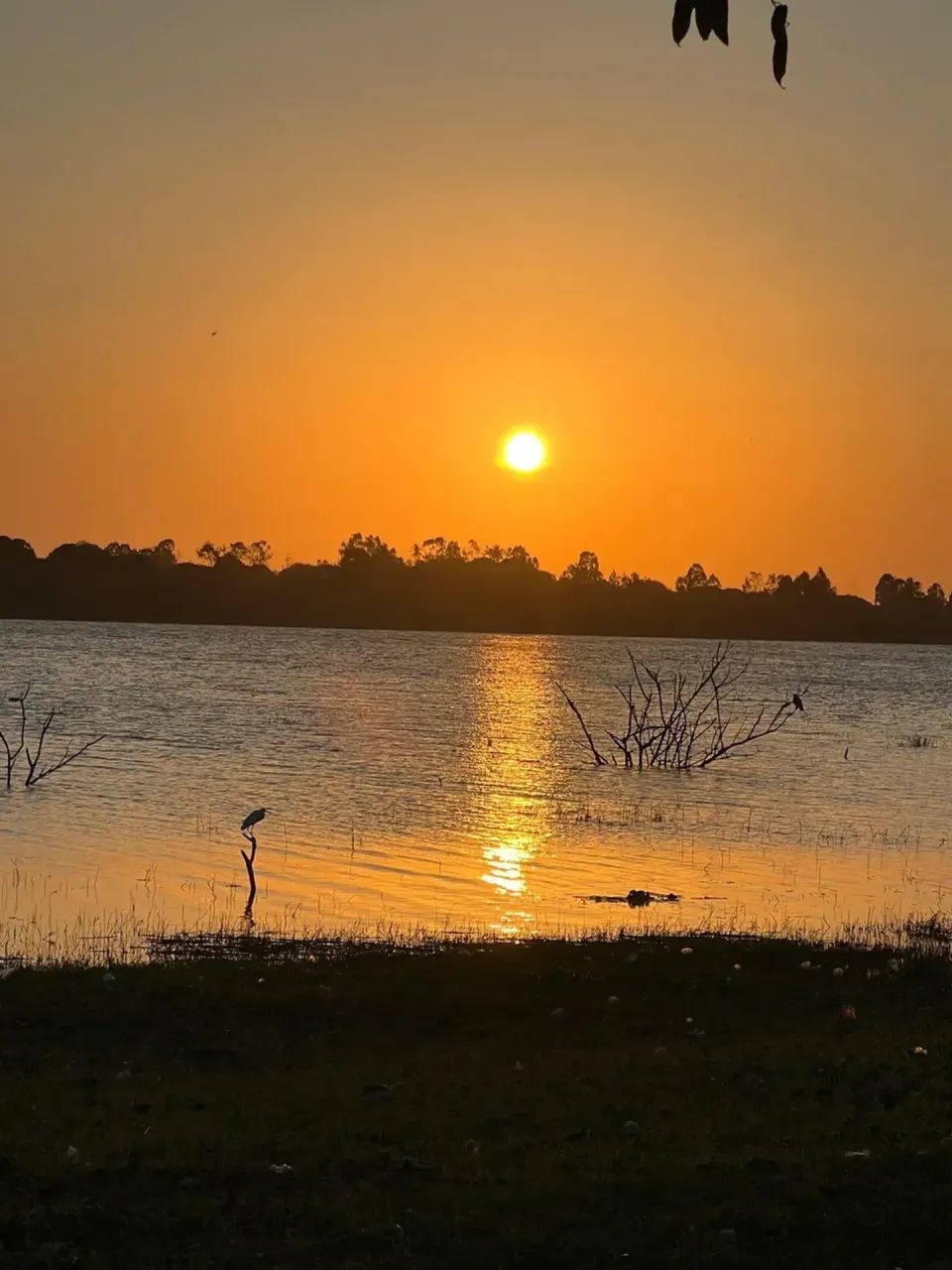 LOTES PROXIMO AO BELAS PRAIAS DE CASCAVEL - Foto 4