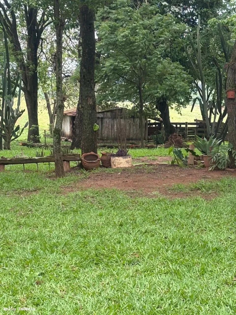 Chácara para Venda em Martinópolis / SP no bairro Rural - Foto 9