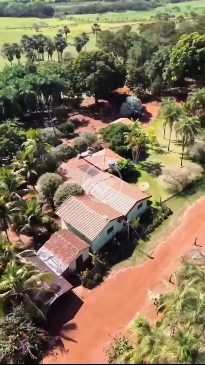 FAZENDA- ITUMBIARA - GO codigo: 382428 - Foto 5