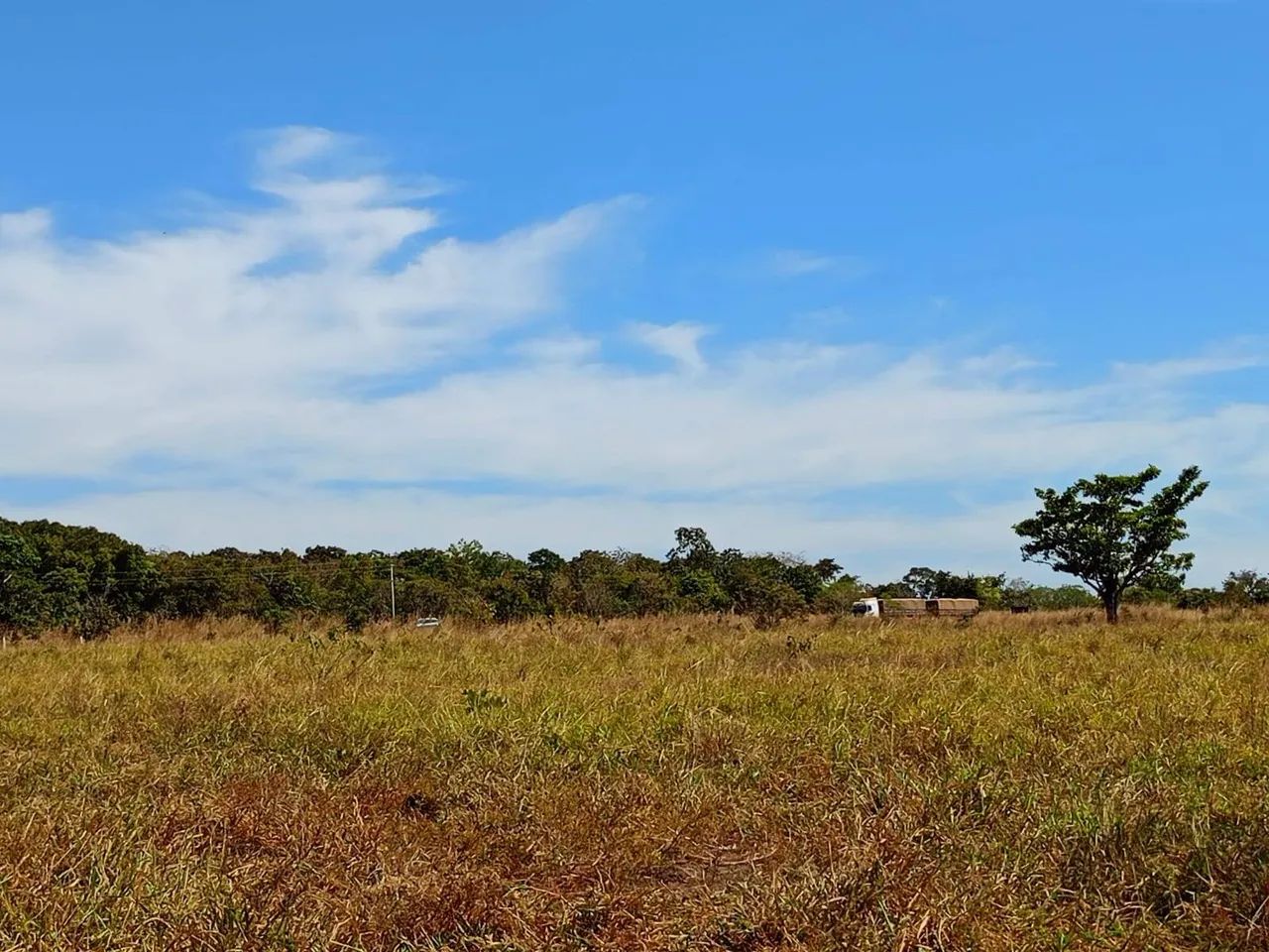 Fazenda Municipio de Jangada com 1.226 hectares - Foto 3