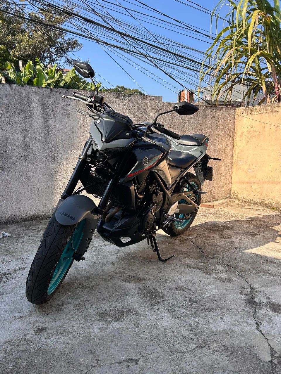 Mt 03 2024