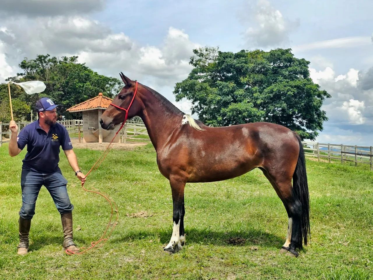 Égua manga larga  - Foto 6