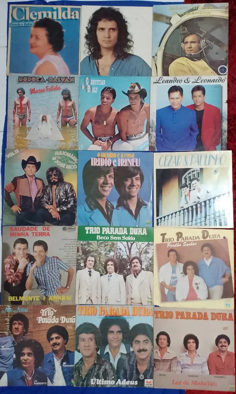 Coleçao de vinil - 15 LPs - (Trio Parada Dura, Leandro e Leonardo, Roberto Carlos...